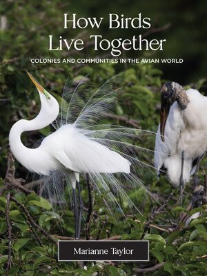 How Birds Live Together - ebook